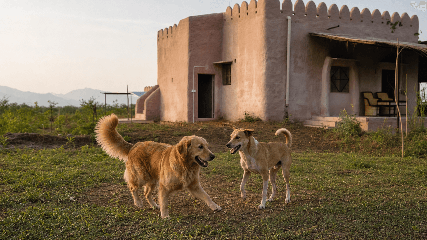 Maru Retreat Farmstay, stay in Pushkar, Rajasthan